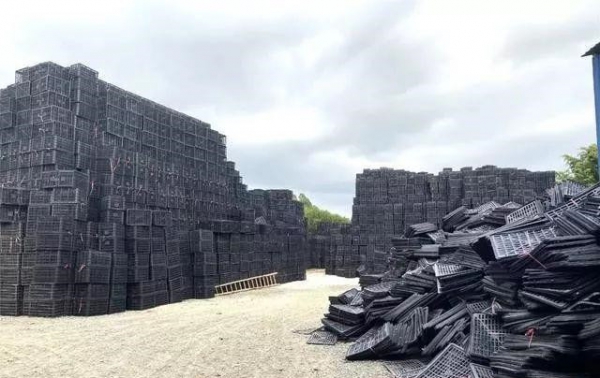 為什么國家禁塑？看看這些堆成小山的一次性塑料筐你就知道了
