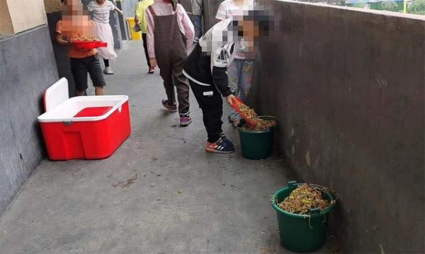 營養(yǎng)餐“溢出垃圾桶”，問題到底出在哪兒？
