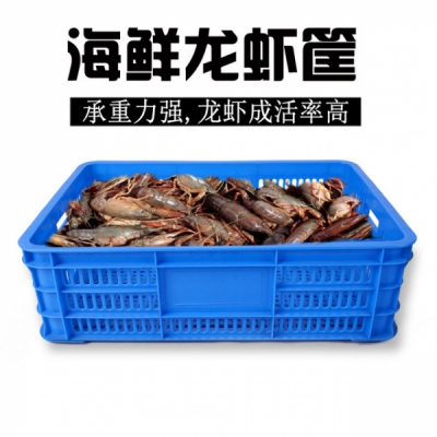 塑料水產(chǎn)龍蝦筐